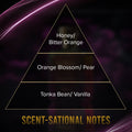 Bloom By Night Luxury Perfume For Women, 50 ml 50ml - Imara Perfumes